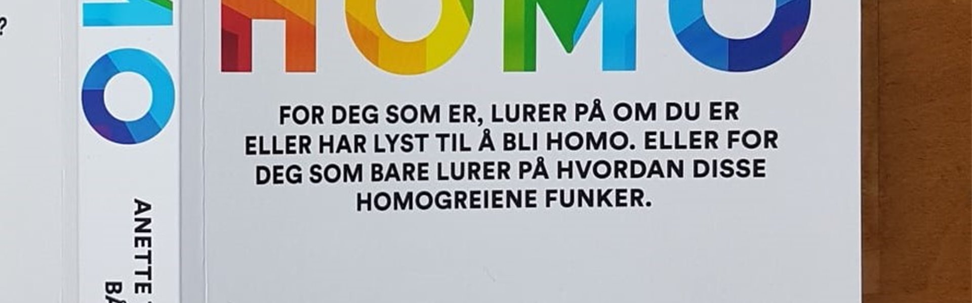 homo---trettebergstuen-3